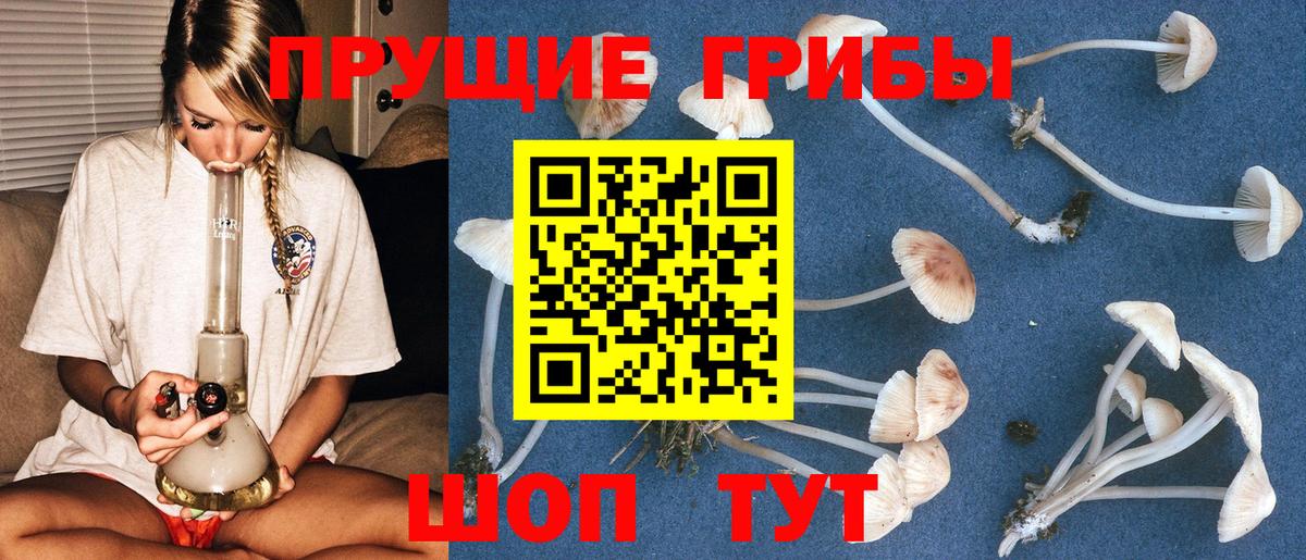 Унеча  где купить наркоту  Вход с VPN  Галлюциногенные грибы Psilocybine cubensis  Галлюциногенные грибы MAGIC MUSHROOMS 